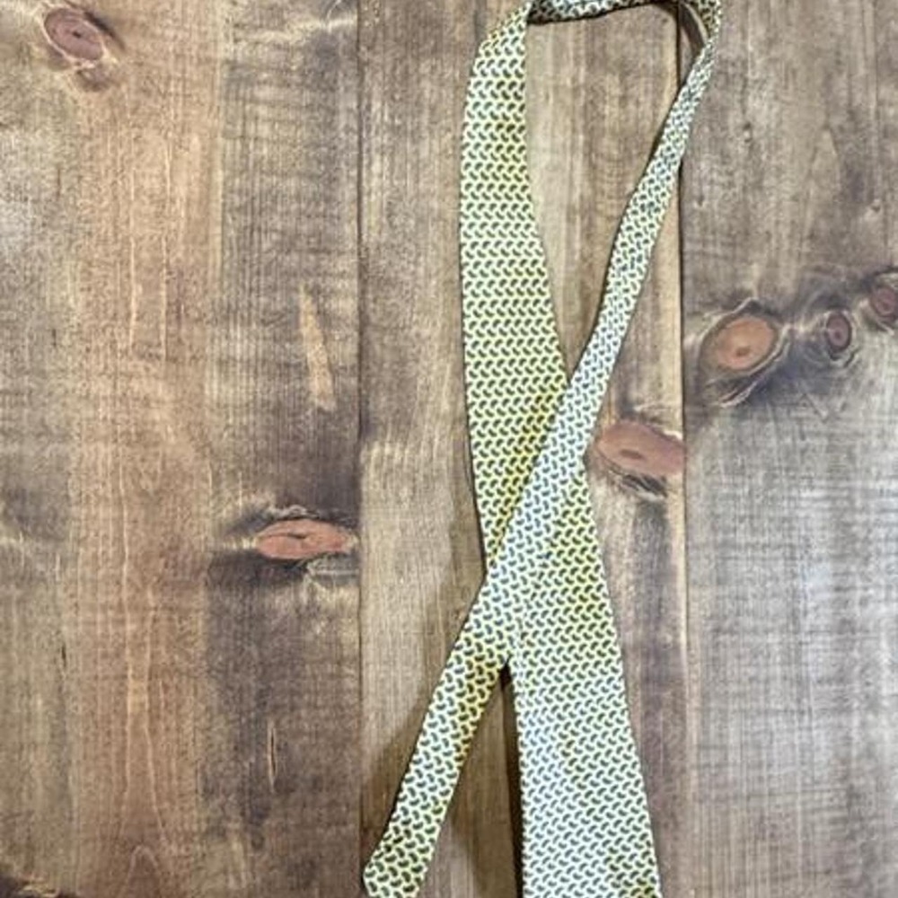 Roundtree & Yorke Yellow Paisley Silk Necktie Men's Novelty Designer Tie